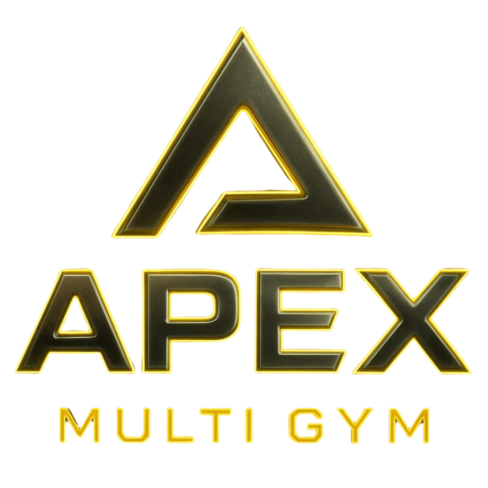 Apex Multi Gym